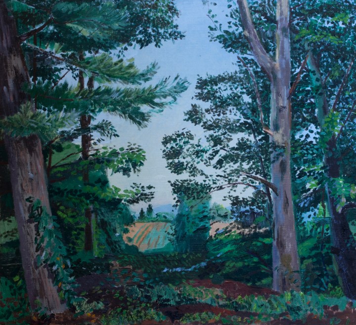 Distant Field Across the River