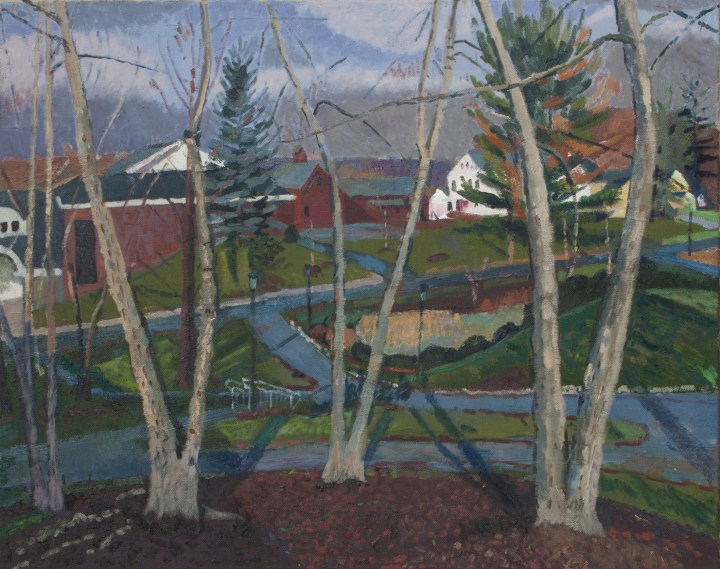 Garden Street Through Trees